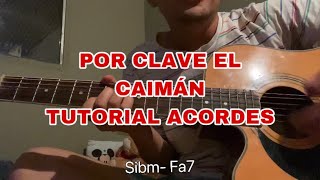 Por clave el caimán - Legado 7 y Tomas Ballardo - tutorial acordes