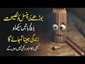 Life changing story of pencil urdu hindi  five life lessons