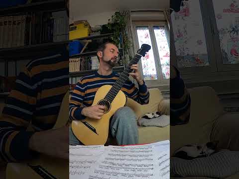 playing F. SOR