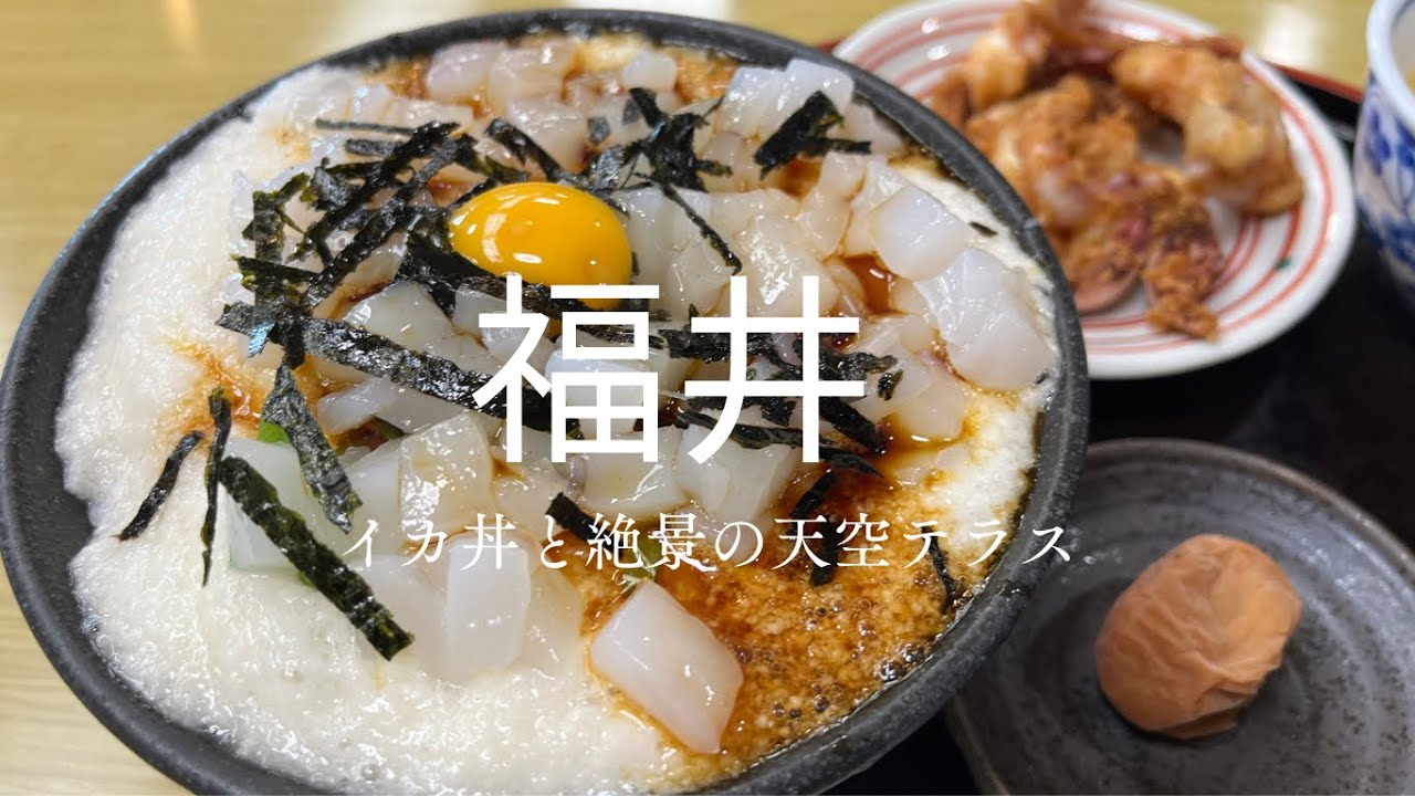 【福井】絶景しかない福井旅。天空のテラスから若狭湾と三方五湖を眺め、イカ丼と越前おろしそば、へしこ味わい、大本山永平寺で癒された１日！