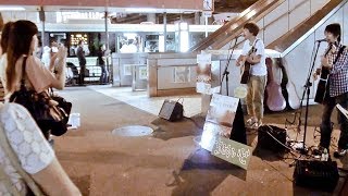 猫背のうた
