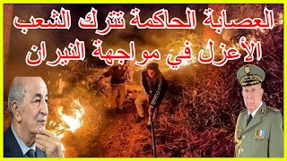 العصابة الحاكمة بالجزائر تترك الشعب الأعزل في مواجهة النيران المستعرة بعدد من الولايات الجزائرية