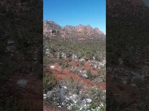 morning hike behind the house