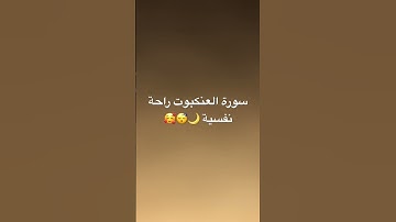 #اكسبلور #القرآن_الكريم #راحة_نفسية #تيك_توك #سورة_البقرة #آية_الكرسي #سورةالرحمن #سورة_العنكبوت