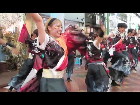 うらじゃ１日目「香川大学よさこい連風華」表町パレード2023.8.19