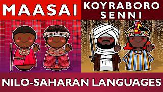 Maasai Meets Songhay East Africa Vs West Africa Languages