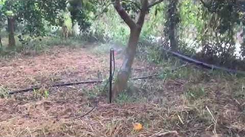 Hệ thống tưới tự động bằng béc G5 Tiết Kiệm Nước Giá Rẻ Nhất Thị Trường