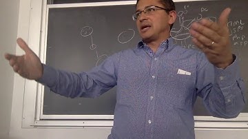 1.2 whiteboard intro to internet, web, and single page applications - undergrad webdev summer 1 2017