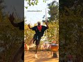 Babana Tokoos Active Dance Viralvideo Amapianodancechallenge Freestyle Viral Dancechallenge 