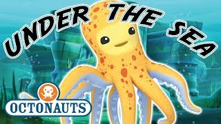 Octonauts - Under The Sea | Cartoons for Kids | Underwater Sea Education