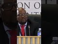 INEXPERIENCED #politics #madlangacommission #currentaffairs #shorts #southafrica