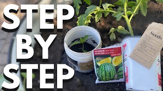 How To Plant A Garden 101. StepbyStep exactly what TO DO!
