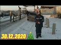 Мал базарда мал АЗ//30.12.2020 ж//видеоны жақсылап көріп шығыңыздар