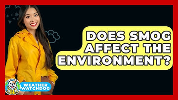 Does Smog Affect The Environment? - Weather Watchdog