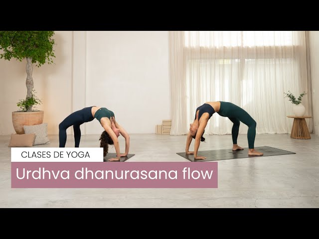 Urdhva dhanurasana, postura de la rueda en yoga - Xuan Lan Yoga