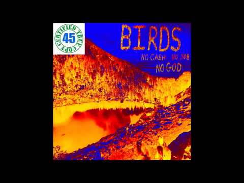 BIRDS - HONEY IT'S A GRIND - No Cash No Job No God (2016) HiDef :: SOTW #224