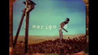 marigold // nirvana