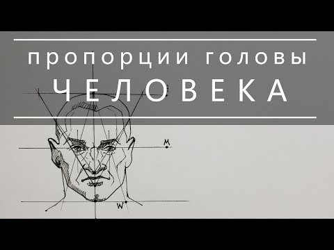 видео: Пропорции головы человека, рисуем человека