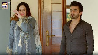 Fiza Danish Ko Chor Kar Chali I 2Nd Last Episode