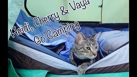 Fun Bedtime Story For Kids | Heidi Cherry & Vaya Go Camping