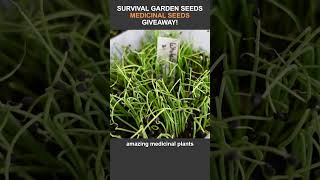 Survival Garden Seeds is Giving Away Free Medicinal Seed Collections!