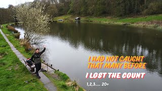 My best catch record so far in trout fly fishing