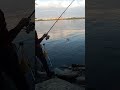 Рибалка .Киев Днипро