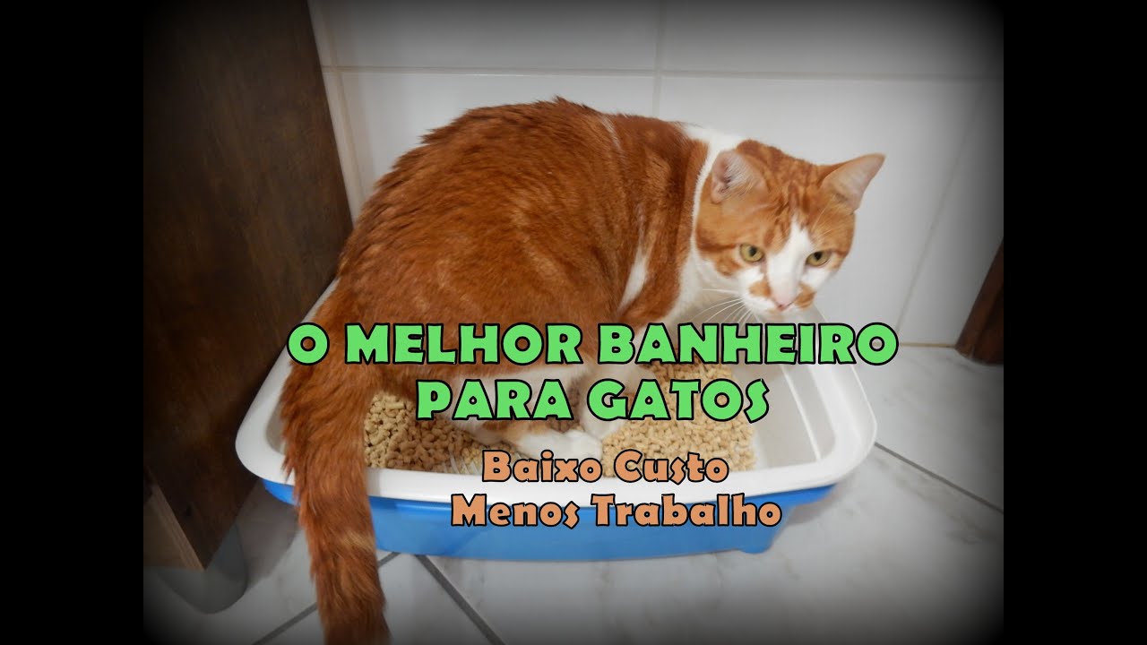 BANHEIRO PARA GATO - O MELHOR, MAS FAÇA ASSIM!