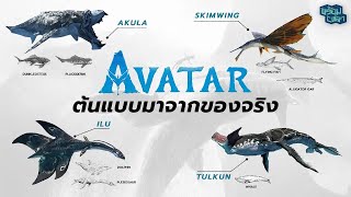 หรือสัตว์น้ำใน Avatar 2 จะมีที่มาจากชีวิตจริง ? ( ไม่มีสปอล์ย )