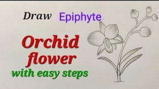 Orchid flower drawing easy, Epiphyte drawing , how to draw orchid flower, orchid plant drawing easy