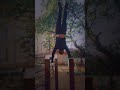 Handstand on bar i pankajar