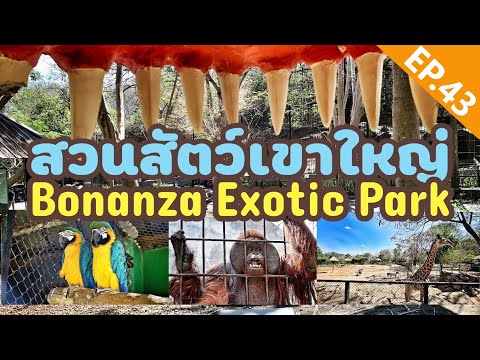 Bonanza Exotic Park สวนสัตว์โบนันซ่า เขาใหญ่ ที่เที่ยวเขาใหญ่ [MuaMarkรีวิว]