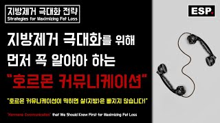 지방제거 극대화를 위해 먼저 꼭 알아야 하는 호르몬 커뮤니케이션┃호르몬 커뮤니케이션이 막히면 살은 빠지지 않습니다!┃운동과 호르몬┃지방제거 극대화 전략┃ESP ♥