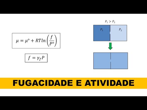 Vídeo: Diferença Entre Cerebrum E Cerebellum