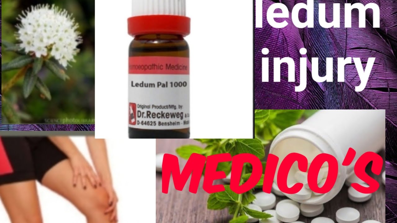 Ledum pal injury. easy homeopathic remedies best rheumatism medicine... YouTube