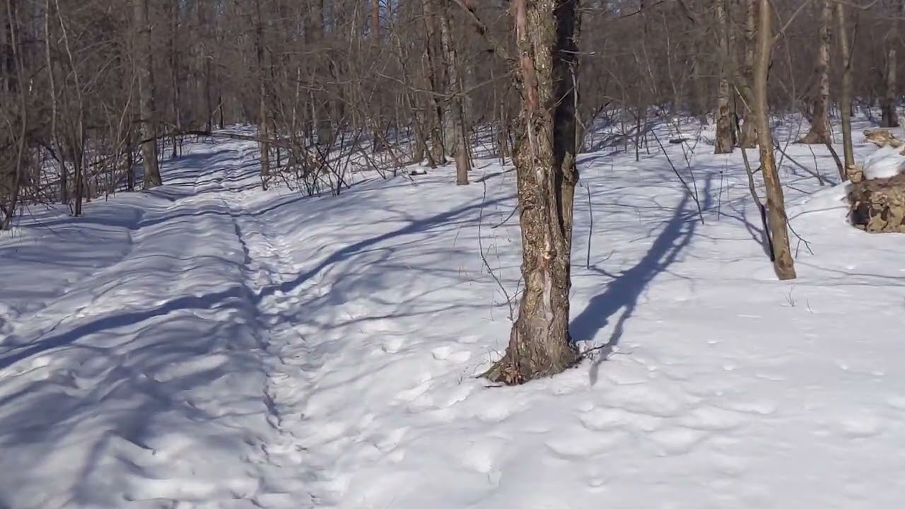 З праздником всіх день перший весни