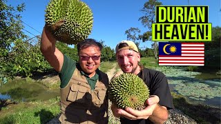 We Died And Went To Durian Heaven In Malaysia