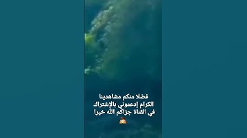 سورة الزلزلة بصوت جميل