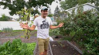 I Got SCHOOLED By An 83 Year Old Farmer On How To Grow Blueberries