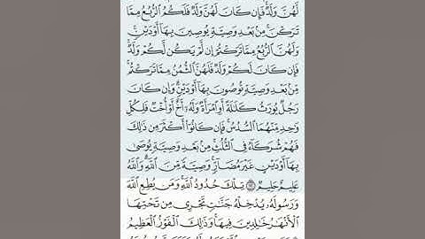 تلاوة سورة النساء 12-19