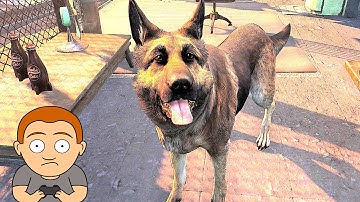 Fallout 4 Pc 4k Ultra Settings GTX 980 TI Frame Rate Performance Test   6700K