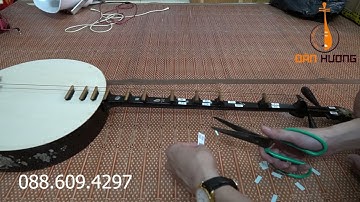 Hướng dẫn dán nốt đàn nguyệt cho người mới học chơi