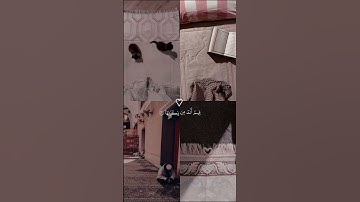 تلاوة خاشعة للقرآن الكريم تهز القلوب 🤍🩶#قرآن #قران_كريم #تلاوة_قرآن #قرآن_بدون_مؤثرات  #تلاوة_خاشعة