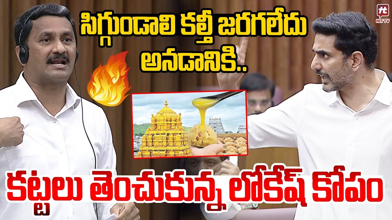Nara Lokesh Fires On Ycp Mlc Madhavarao | Tirumala Laddu Controversy | Tdp vs Ysrcp @hittvmix