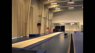 Spring og Teamgym - 2011/13