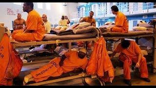 Celebrity Lockup Raw - Prison Politics Documentary #balancescalesofjustice Net Worth