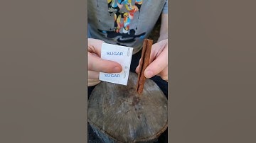 Genius survival skills - make fire with an empty lighter 🔥🔪 #outdoors #camping #bushcraft #survival