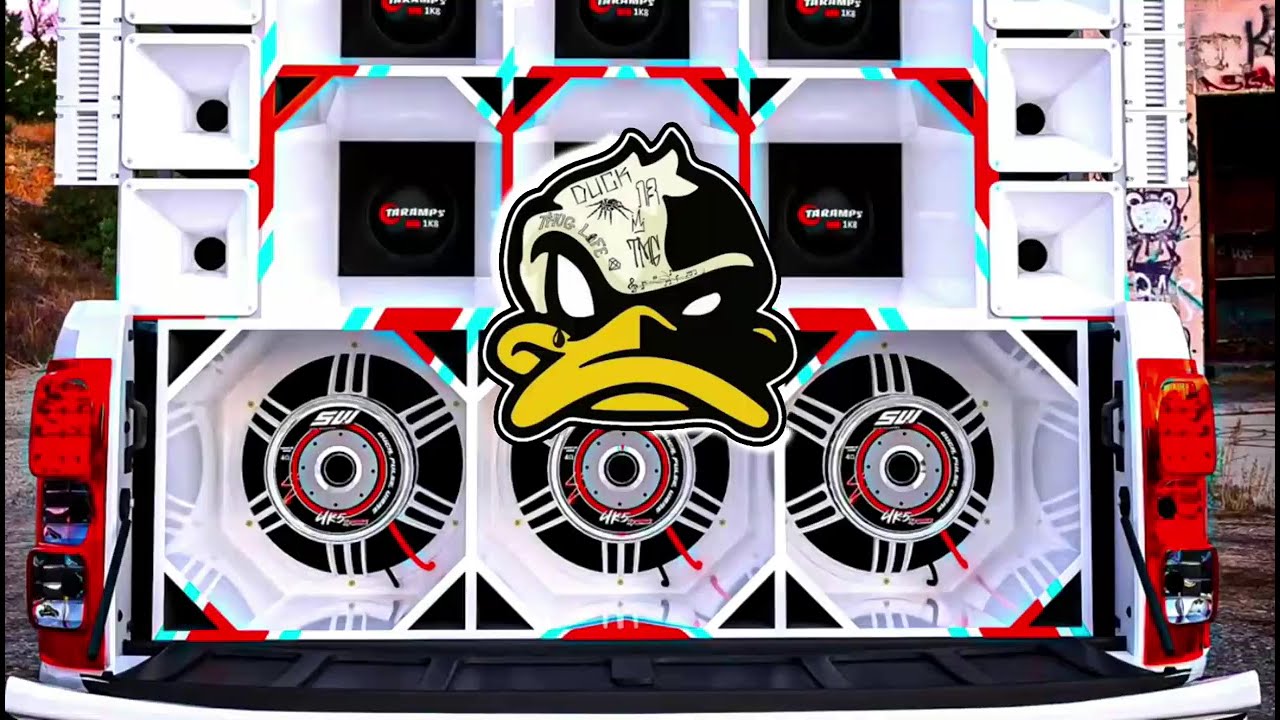 CAÇULAS DO FORRÓ 2025 CD OUTUBRO PRA PAREDÃO ATUALIZADO | REPERTÓRIO NOVO