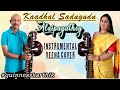 Kaadhal sadugudu  alaipayuthey  arrahman  instrumental music  veena cover  karthik veena