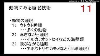 睡眠学の１１　動物、多民族の睡眠